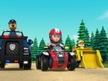 Paw Patrol, la Pat'Patrouille