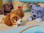 Paw Patrol, la Pat'Patrouille