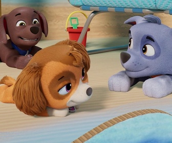 Paw Patrol, la Pat'Patrouille - Les vacances de M. Hellinger