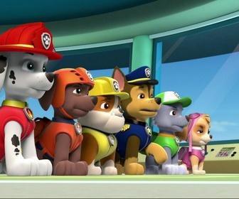 Paw Patrol, la Pat'Patrouille - Maurice est coincé
