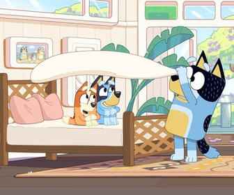 Bluey - 23/06/2026
