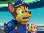 Paw Patrol, la Pat'Patrouille