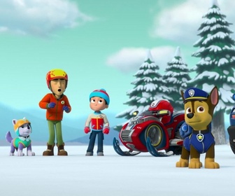 Paw Patrol, la Pat'Patrouille - Danny et l'ours