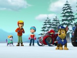 Paw Patrol, la Pat'Patrouille