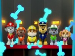 Paw Patrol, la Pat'Patrouille