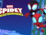 Spidey et ses amis extraordinaires