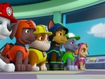 Paw Patrol, la Pat'Patrouille