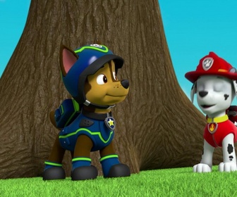 Paw Patrol, la Pat'Patrouille - La Pat'Patrouille sauve Luke Stars