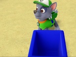 Paw Patrol, la Pat'Patrouille