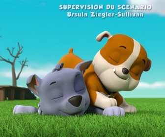 Paw Patrol, la Pat'Patrouille - Le drone de Danny