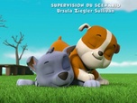 Paw Patrol, la Pat'Patrouille