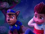 Paw Patrol, la Pat'Patrouille