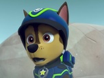 Paw Patrol, la Pat'Patrouille Paw Patrol, la Pat'Patrouille