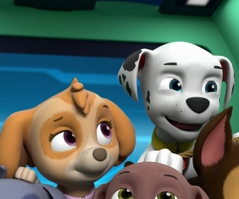 Paw Patrol, la Pat'Patrouille - Mission secrète : La calèche royale