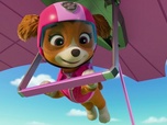 Paw Patrol, la Pat'Patrouille Paw Patrol, la Pat'Patrouille