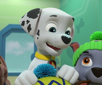 Paw Patrol, la Pat'Patrouille - La leçon de snowboard