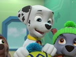 Paw Patrol, la Pat'Patrouille