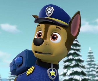 Paw Patrol, la Pat'Patrouille - La Pat'Patrouille et le petit loup blanc