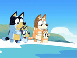 Bluey