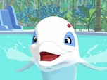 Oum le dauphin blanc Oum le dauphin blanc