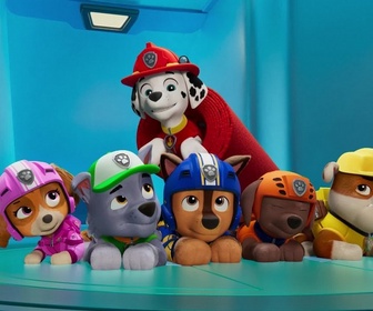 Paw Patrol, la Pat'Patrouille - La Pat' Patrouille des Airs : Le sauvetage de l'avion royal