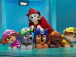 Paw Patrol, la Pat'Patrouille