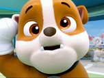 Paw Patrol, la Pat'Patrouille