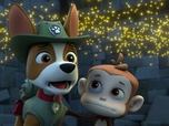 Paw Patrol, la Pat'Patrouille