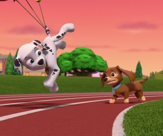 Paw Patrol, la Pat'Patrouille - Les championnes de Pop Pop Boogie