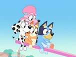 Bluey Bluey