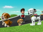 Paw Patrol, la Pat'Patrouille