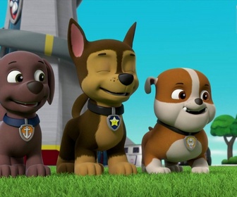 Paw Patrol, la Pat'Patrouille - Les cupcakes d'Alex