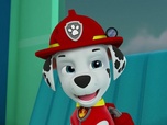 Paw Patrol, la Pat'Patrouille