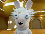 Les lapins crétins