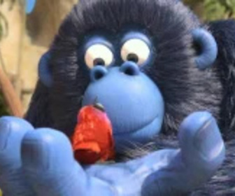 Les as de la jungle à la rescousse - 04/11/2025