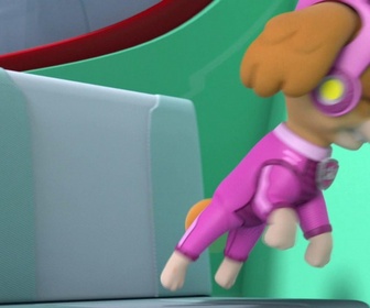 Paw Patrol, la Pat'Patrouille - Le macaque albinos