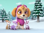 Paw Patrol, la Pat'Patrouille