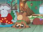 Taki Tanuki