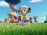 Paw Patrol, la Pat'Patrouille