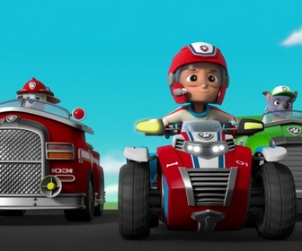 Paw Patrol, la Pat'Patrouille - Drôles d'oiseaux
