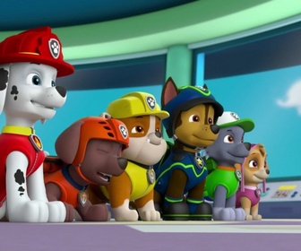 Paw Patrol, la Pat'Patrouille - L'oeuf de Galinetta