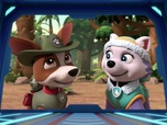 Paw Patrol, la Pat'Patrouille