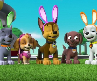 Paw Patrol, la Pat'Patrouille - Le satellite
