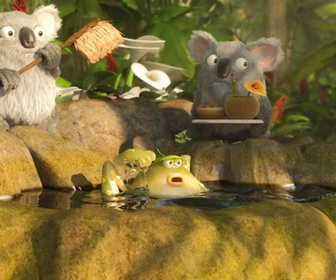 Les as de la jungle à la rescousse - 16/02/2026