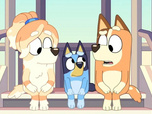 Bluey Bluey