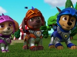 Paw Patrol, la Pat'Patrouille