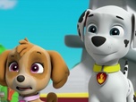 Paw Patrol, la Pat'Patrouille Paw Patrol, la Pat'Patrouille