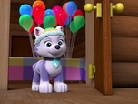 Paw Patrol, la Pat'Patrouille Paw Patrol, la Pat'Patrouille