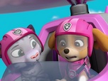 Paw Patrol, la Pat'Patrouille