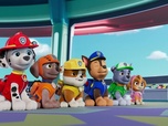 Paw Patrol, la Pat'Patrouille